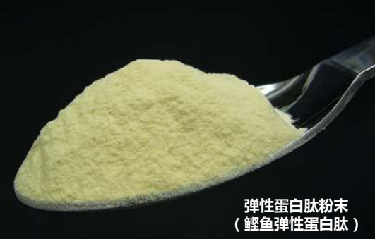 日本林兼鲣鱼弹性蛋白肽代理