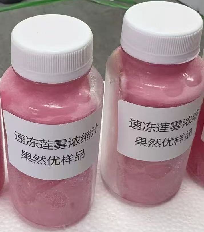 速冻莲雾浓缩汁