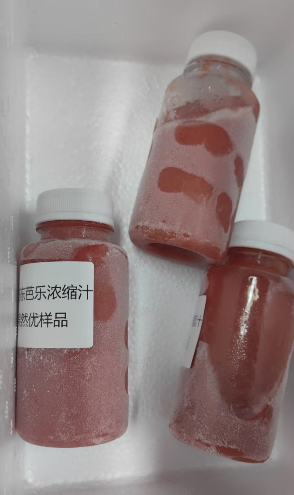 冷冻芭乐浓缩汁