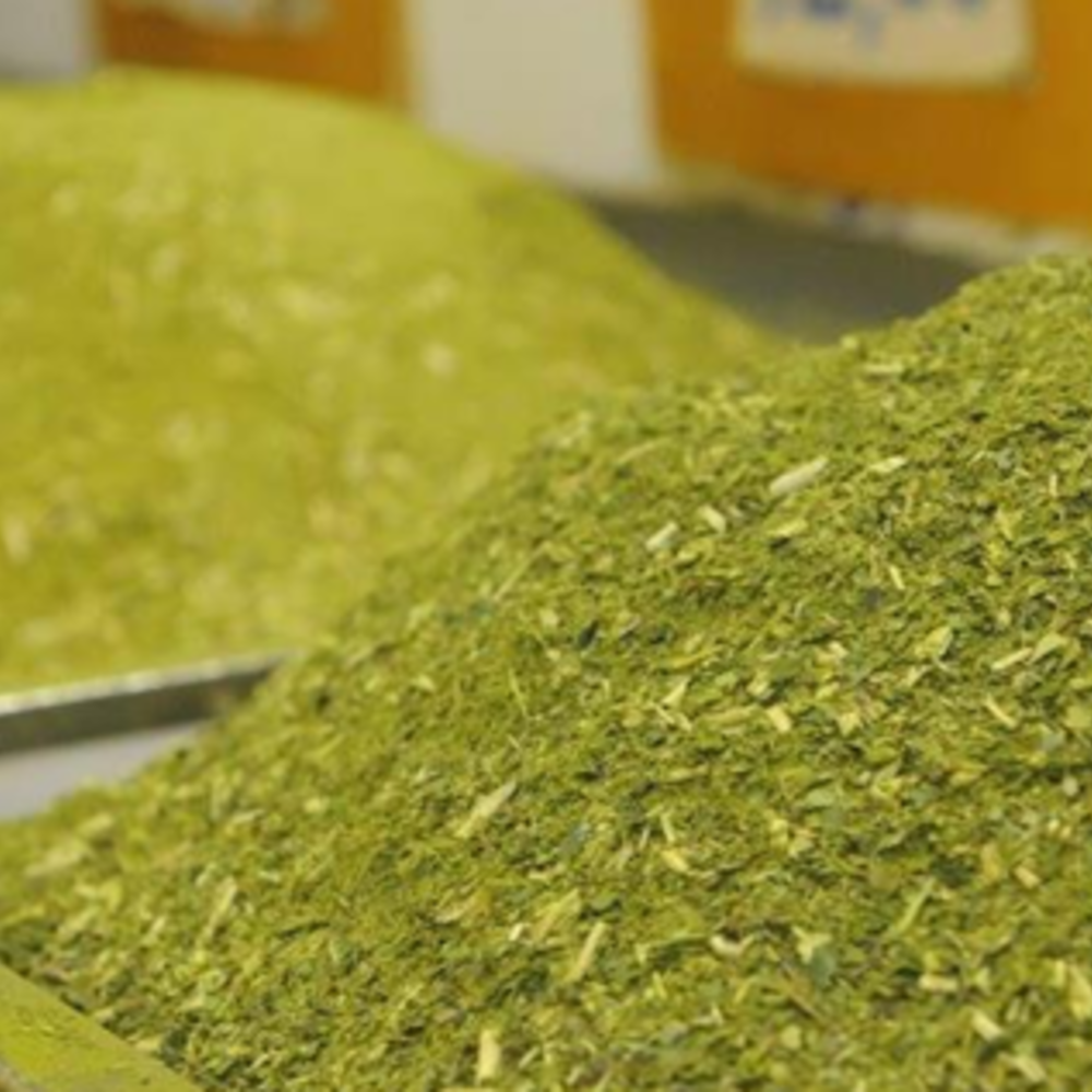 马黛茶/巴拉圭茶提取物