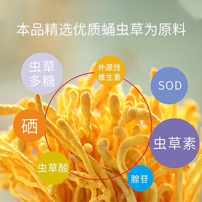 蛹虫草粉，蛹虫草提取物