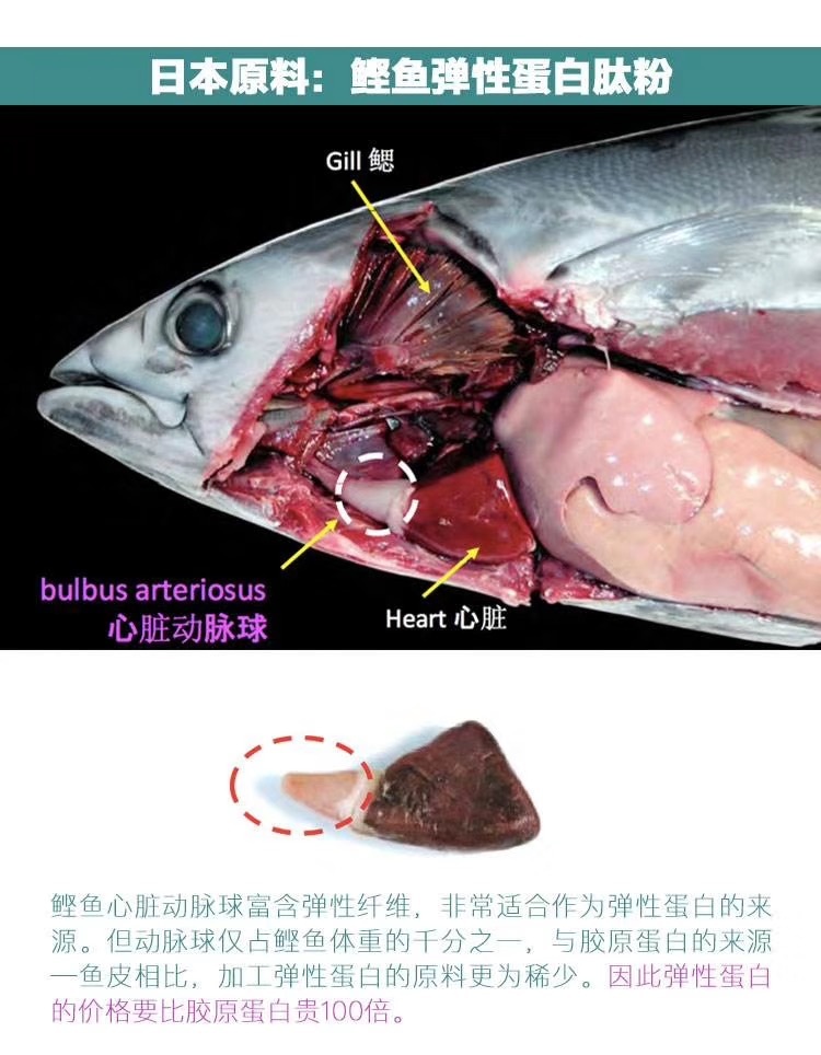 林兼鰹魚(yú)彈性蛋白肽