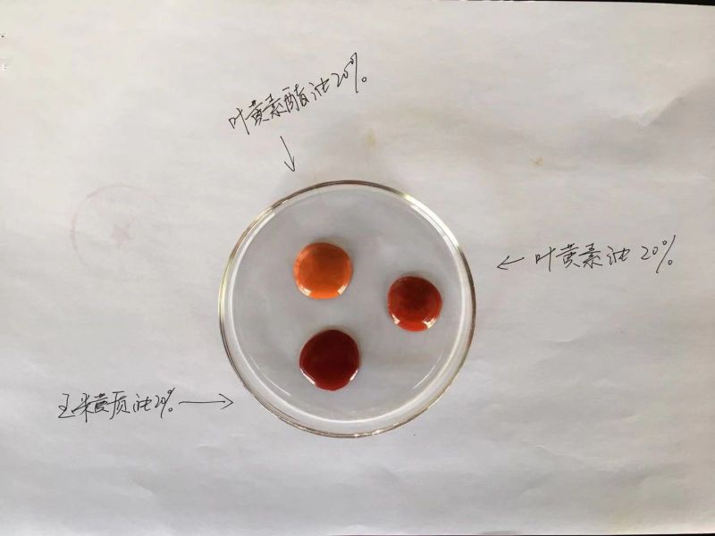 玉米黄质油悬液