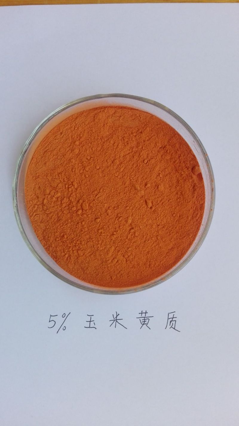 玉米黄质粉末