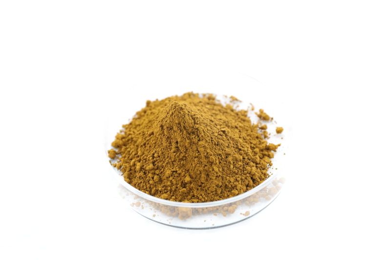 沙棘提取物/异鼠李素24%