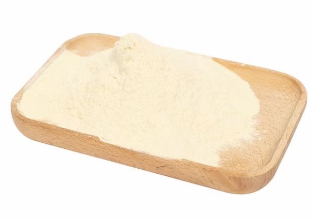 益生菌冻干粉原料