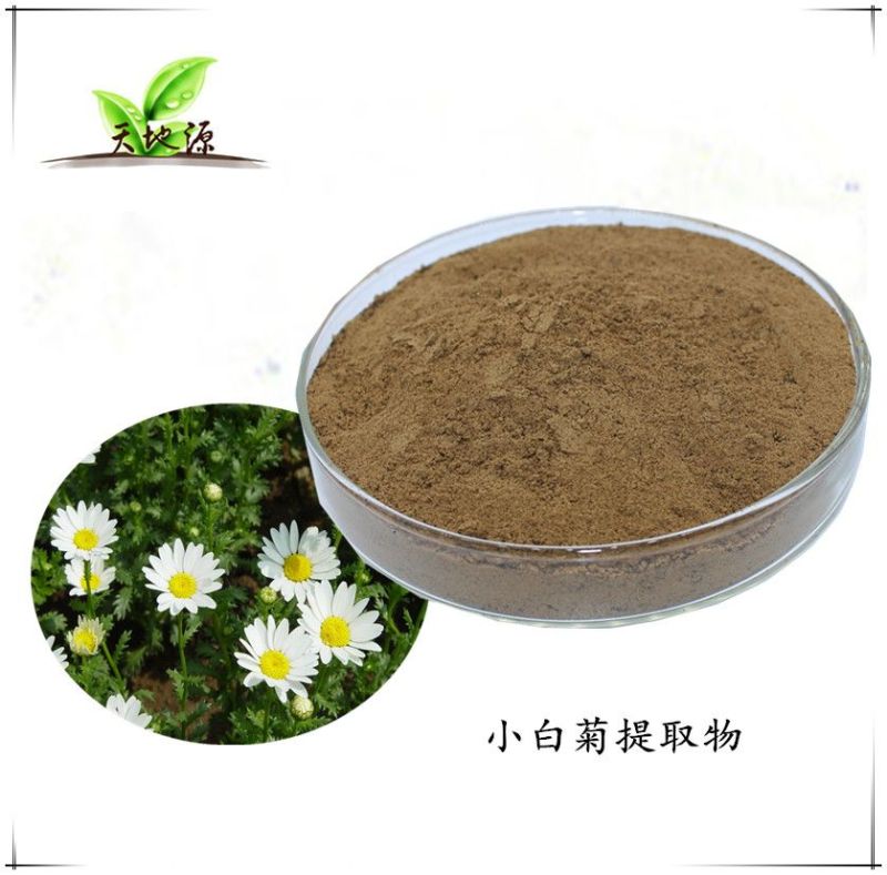 小白菊提取物