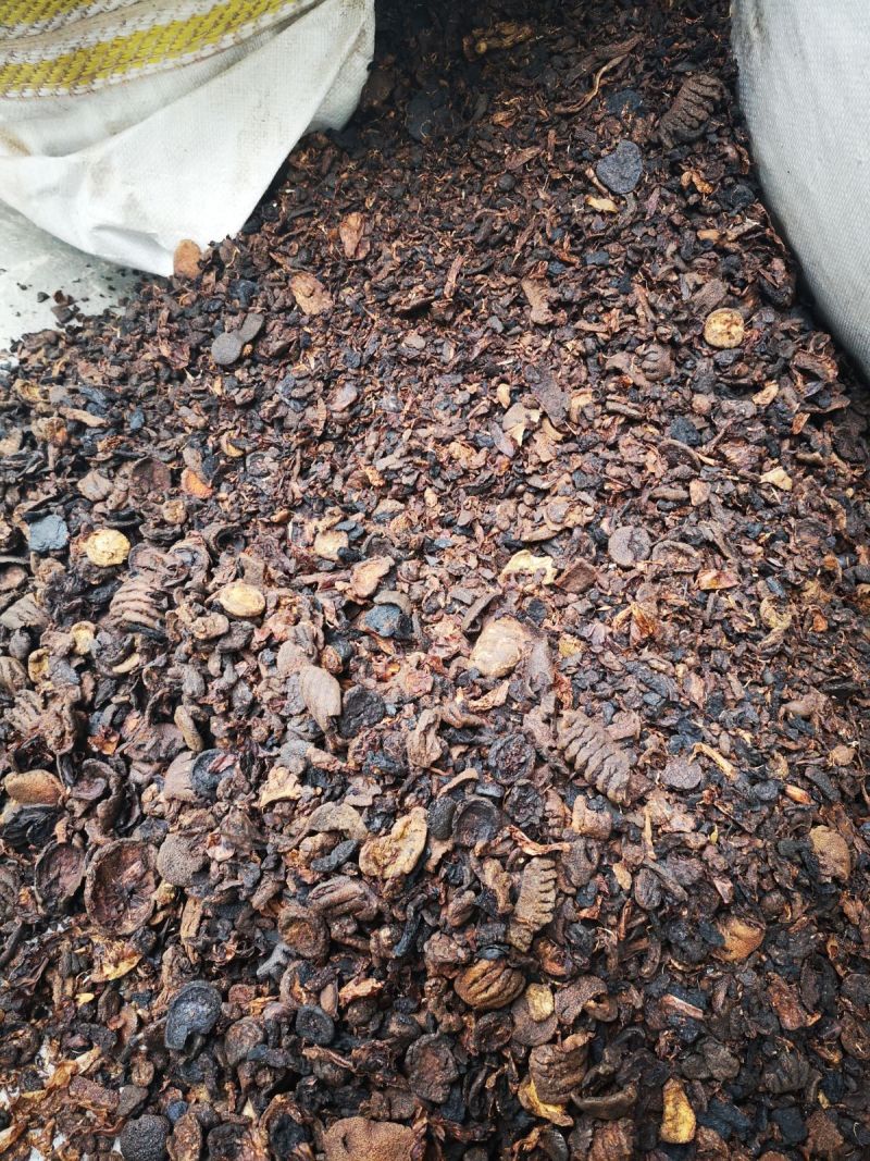 橙子榨汁后废料