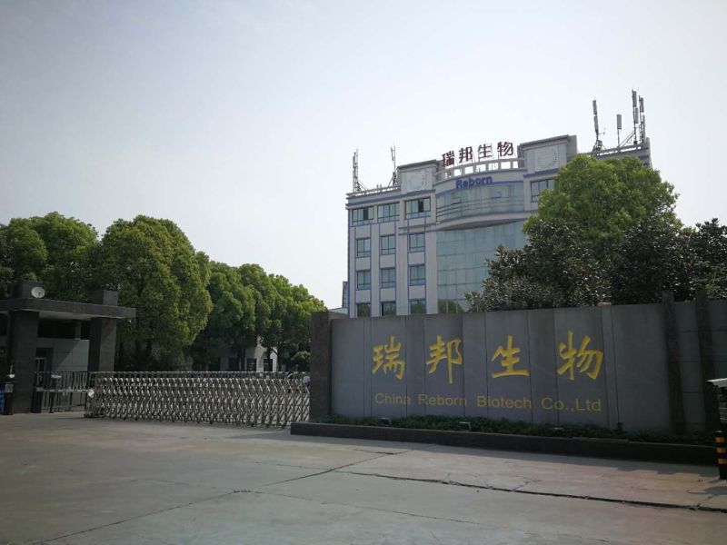 瑞邦小分子豌豆肽