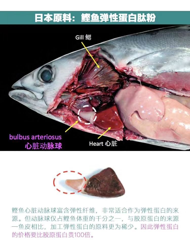 日本鰹魚(yú)彈性蛋白肽
