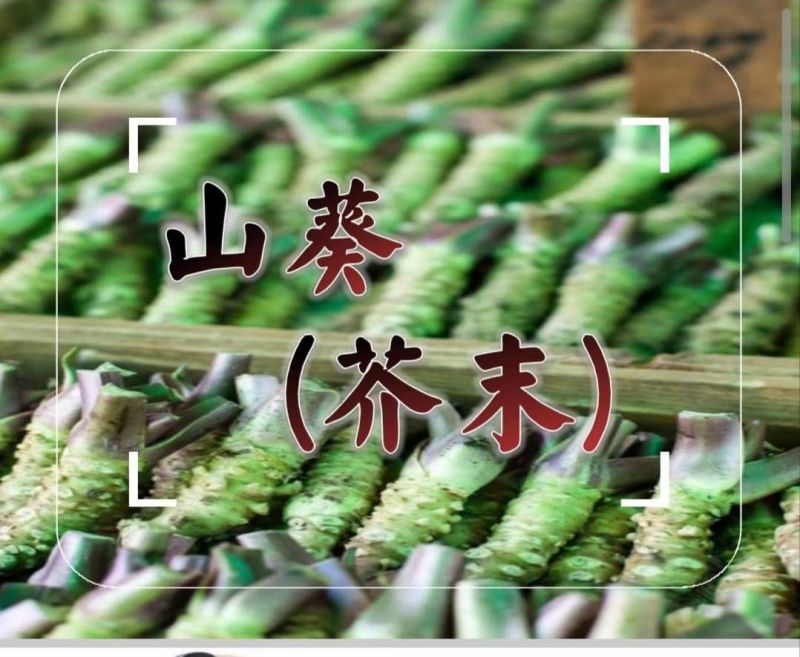 山葵濃縮粉