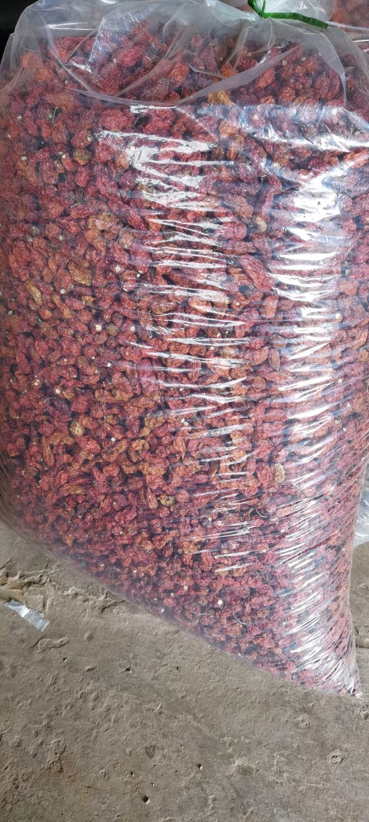 高辣度辣椒或辣椒原膏