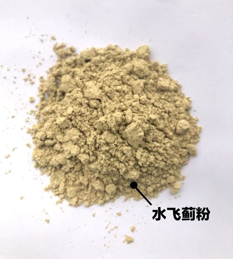 水飞蓟粉