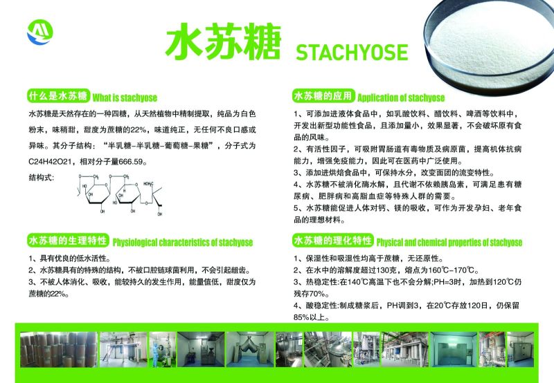 长期供应水苏糖