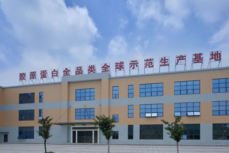 供应非变性II型胶原蛋白