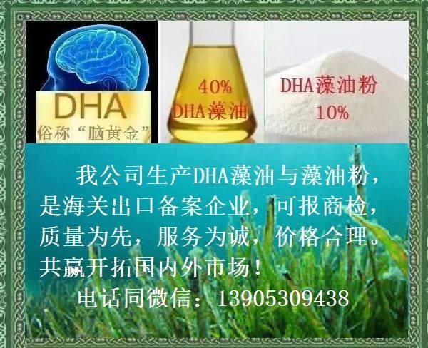 DHA藻油40%与藻油粉10%