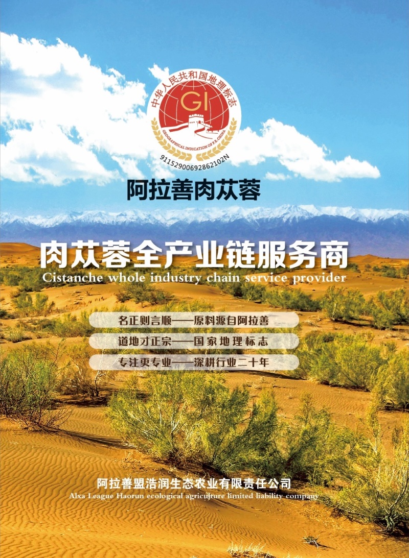 肉苁蓉(荒漠)提取浓缩粉