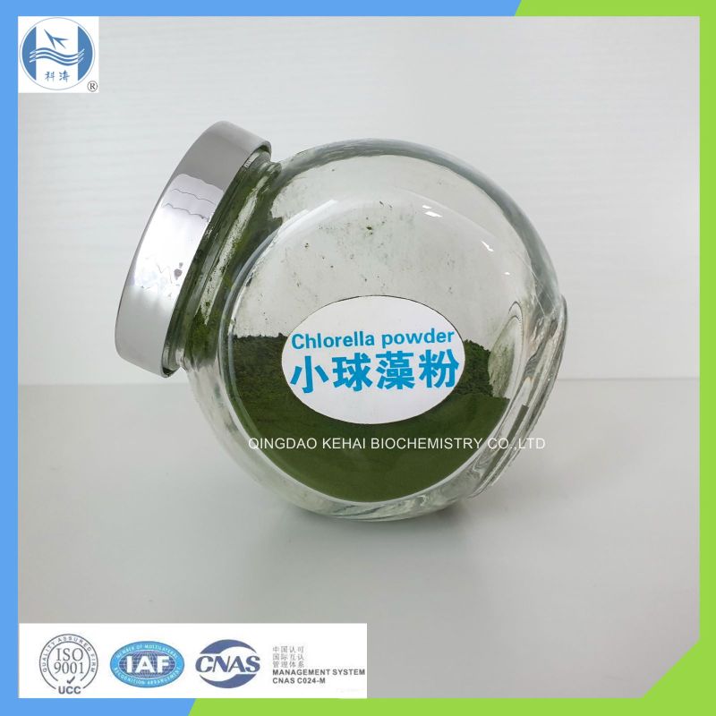 蛋白核小球藻粉、小球藻液