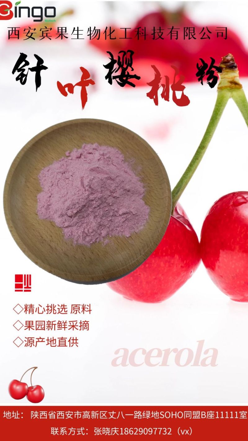 提供针叶樱桃粉