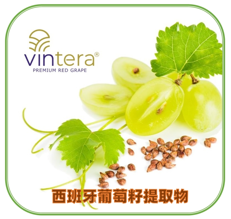 VINTERA葡萄籽提取物天然植物香料葡萄籽提取物