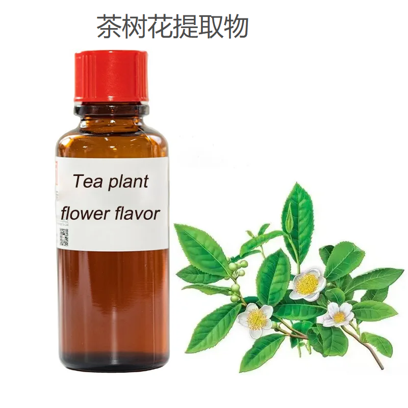 金银花/茶树花/菊花/桂花/茉莉花/接骨木/重瓣红玫瑰提取液