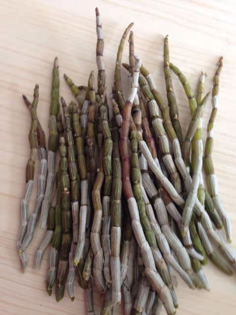 铁皮石斛提取物、石斛原浆、石斛鲜条