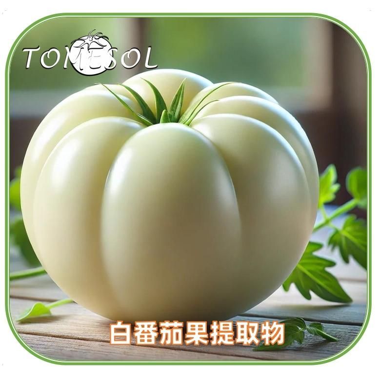 TOMESOL白番茄果提取物 | 白番茄浓缩粉（已备案报送）