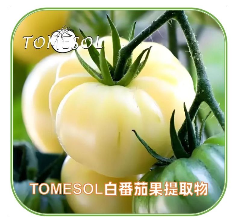 TOMESOL水晶白番茄果提取物（妆食同源，有报送码）